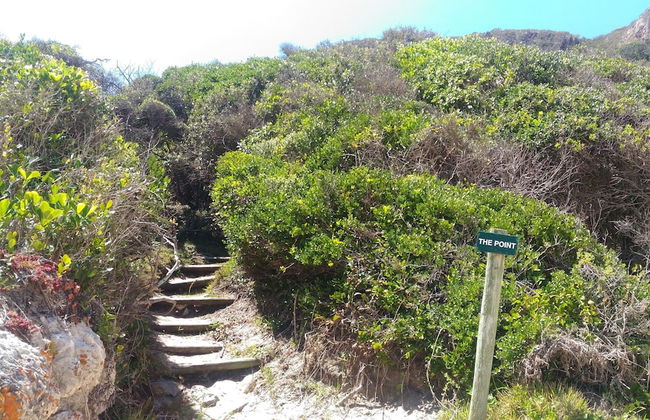 Lily Pond Country Lodge - Foto 80