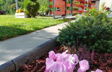 Kuća za odmor Ria - Foto 4