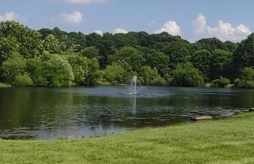 Fisherman’s Dream - Foto 18