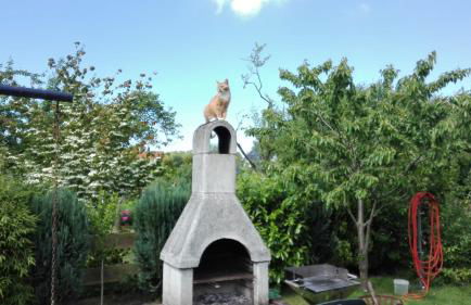 Ferienwohnung Kleine Moewe - Foto 28