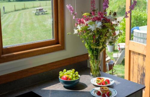 The Acorn - Luxury Shepherds Hut hot tub panoramic views - Foto 8