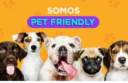 Comfortable Gonzaga Apartament - Em 1 minuto a pé tá na PRAIA Gonzaga em Santos e no Shopping Balneário, 2 ar-condicionados, portaria 24 horas, elevador, 1 vaga carro Gratís, wi-fi Grátis, enxoval Gratuito, PRAIA Santos Gonzaga, Bicicleta disponí - Foto 9