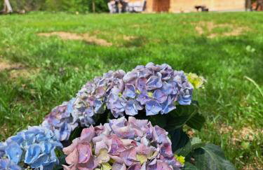 Guest house Mihovil - Foto 12