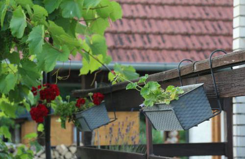 Oaza mira Kris - Photo 15