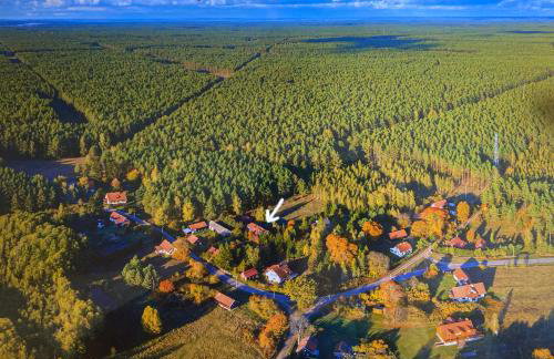 Szeroki Bór oaza w Puszczy z Sauną, Banią i Jacuzzi - Foto 41
