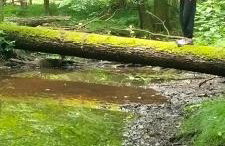 Siedlisko Na Szlaku Odry - Foto 32