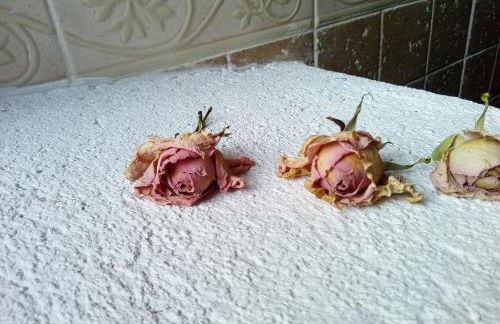 Posada del Dulce Sueño - Foto 30