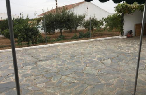 Painel de Monsaraz - Foto 52