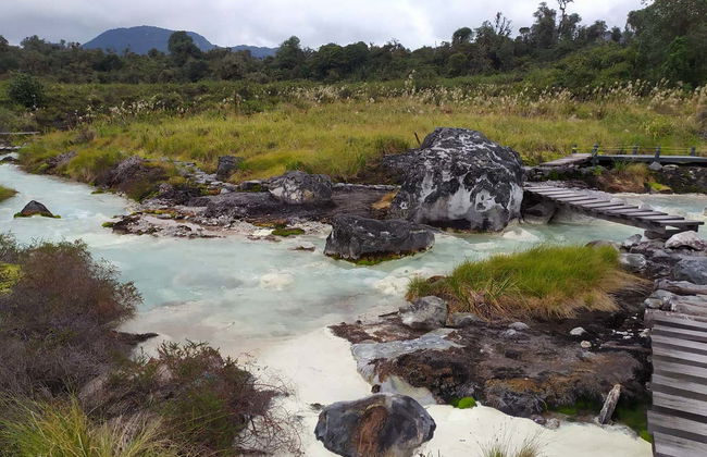 Excursão ao Parque Nacional Puracé + Avistamento do condor andino - Foto 3