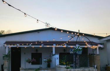 Ville Scelsa - Foto 22