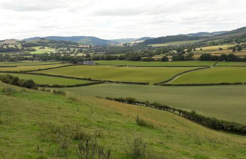 Lucea Cottage - Foto 34