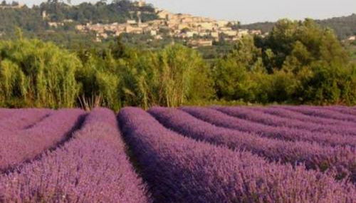 BOHO 2 Vue Panoramique - Foto 3