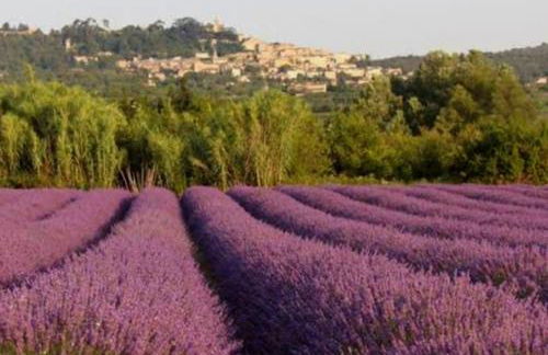 BOHO 2 Vue Panoramique - Foto 3