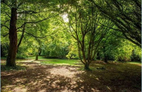 The Annexe Lurley Manor - Foto 27