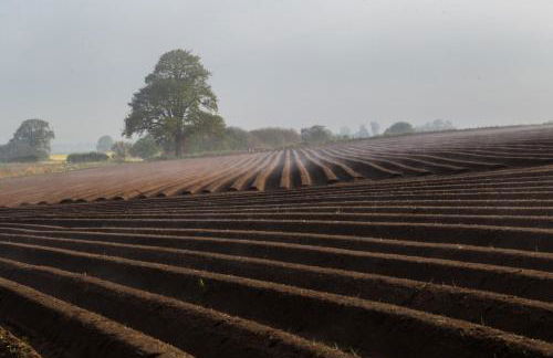 Soulton Hall - Foto 19