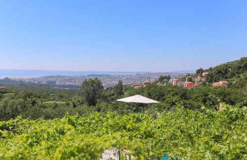 Holiday Home Rupotina with a large yard, pool and a beautiful view - Foto 20