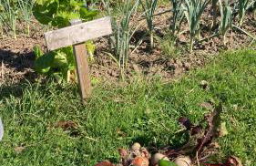 Simples Escales : gîte nature, détente et sauna - Photo 21