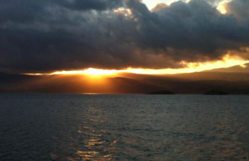 White lilies the house of gourmet flavours - Foto 53