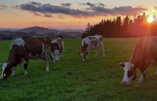 Domki Malcykówka z własnym Jacuzzi - w cenie - Foto 41