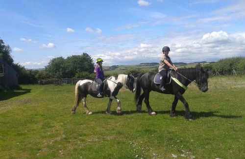 Long Mountain Centre Log Cabins - Foto 43
