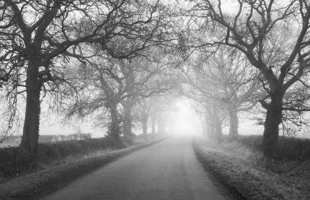 Stunning Lodge at Runswick Bay - Dog Friendly - Foto 27
