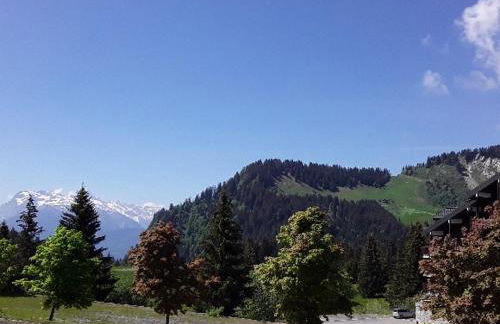 Les Terrasses du Mont blanc - Foto 14