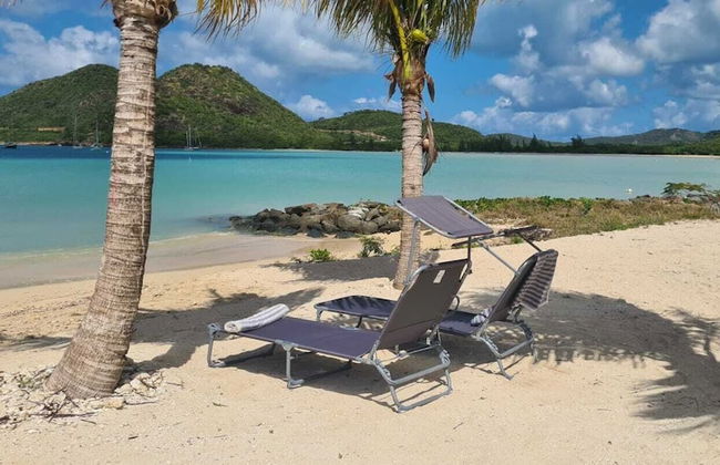 Wild Lotus Villa - Waterfront on Jolly Harbour - Photo 32