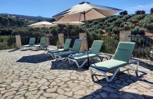 Hacienda La buena vida B&B en appartementen casita la bruja - Foto 13