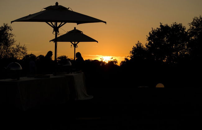 Fattoria Pianetti - Photo 48