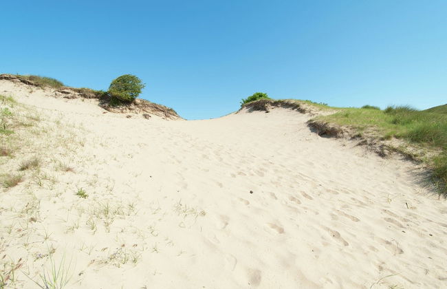 Bloemendaal Beach Escape - Foto 32