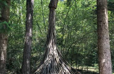 Casa Willigio - Photo 42