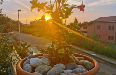 Casa Vacanze Villa Mimosa- per le vacanze vicino a Tropea - Foto 40
