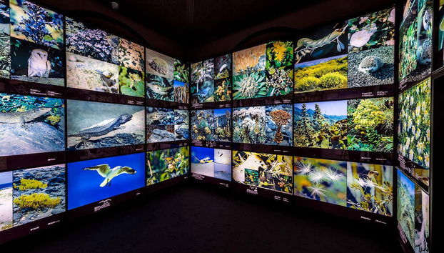 MUNA Museum Tickets + Teide National Park Audio Guide - Foto 2