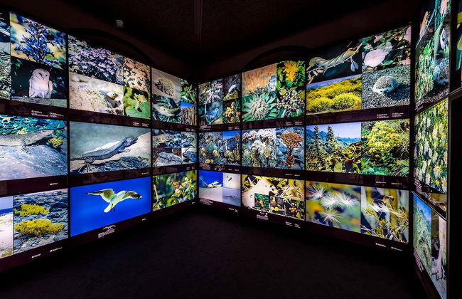 MUNA Museum Tickets + Teide National Park Audio Guide - Foto 2