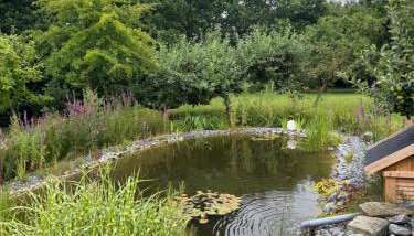 Ferienhaus Warf mit Wintergarten Kamin und Teich - Foto 3, Garden, Garden view