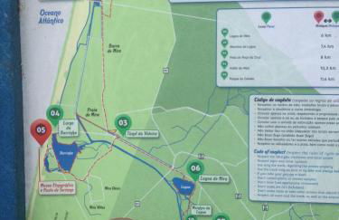 Bico das flores - Foto 80