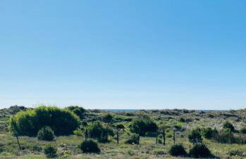 Un petit Paradis, 5 minutes à pied plage Robinson, terrasse, parking privé, WIFI, vue sur dunes et mer, très ressourçant, à Marseillan Plage - Photo 22