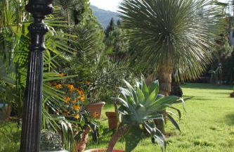 Hazienda Apartmenthotel - Für ein paar Tage oder monatelang - Foto 80