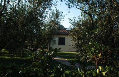 Agriturismo Dallolivo - Foto 12