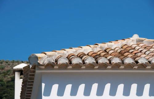 Molino La Ratonera - Foto 24