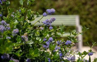 Mas des Cèdres - Photo 36