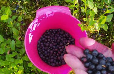 Podlaskie Żuczki - Foto 27