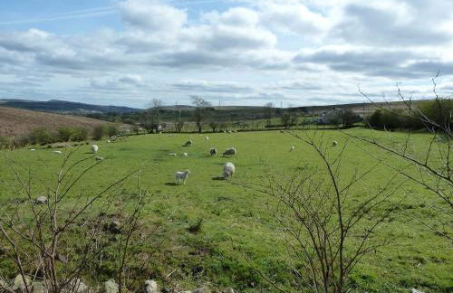 Wales' Highest Village - The Chartist Cottage - Trefil - Photo 17