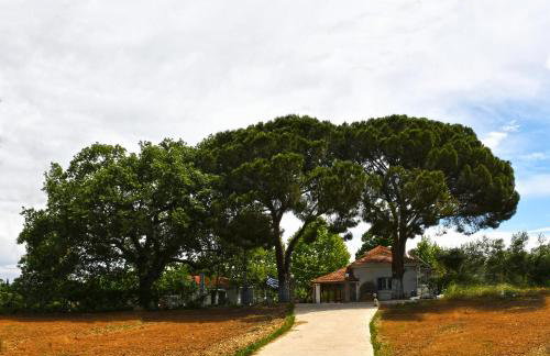 The Ranch of Ancient Ilida - Foto 1