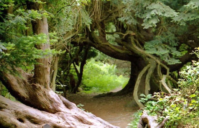 Luxury Countryside Haven for 10 - Photo 39