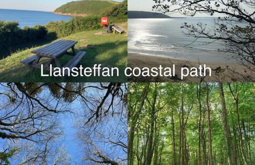 Caban Croeso-The Welcome Cabin, Holiday let, near Mansion House Llansteffan - Photo 28