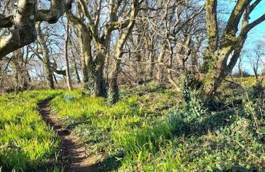 Cosy country getaway, 5 mins from the sea - Photo 19