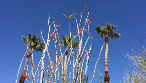 Mayfair House - 4 Minutes to National Park! - Foto 4