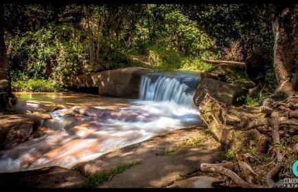 PARAÍSO ECOLÓGICO- REGIÃO ATIBAIA - Photo 50