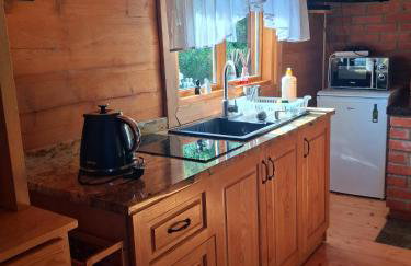 Siedlisko Sielska Dolina Nad Stawem luksusowy domek całoroczny z klimatyzacją - Foto 4